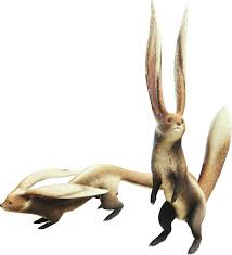 Monster strategies will be discussed in detail as you encounter them throughout the walkthrough, featuring elemental and status information and drop lists. Mhw Endemic Life List Monster Hunter Wiki Fandom