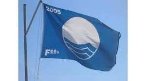 Image result for sappe 1981 2021