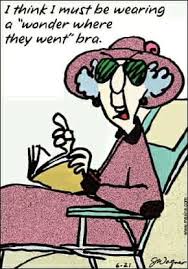 Maxine You Too Good Senior Jokes Maxine Book Jokes