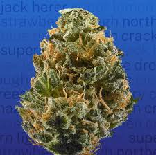 A very sick type of weed with alot of crystals and gets u higher than a motherfucker. Haze Aka Original Haze Haze Brothers Marijuana Strain Information Leafly