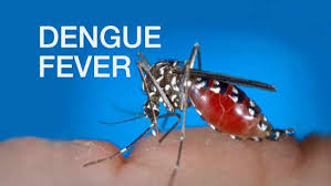Here, we take a closer look at the disease, and the impact it can have on its victims. Skn S Populace Encouraged To Take Precaution To Protect Themselves Against Dengue Fever Von Radio