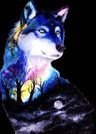Pin By Vanina Battistessa On Wallpapers Cute Animal Drawings Wolf Wallpaper Wolf Artwork