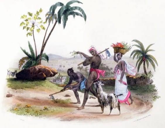 Rare Indian life lithographs from 1800-1900