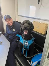 Profile for Wendell The Comfort Dog