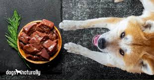 What to feed a dog with high liver enzymes. What To Feed A Dog With High Liver Enzymes Online Off 62