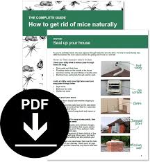How To Get Rid Of Mice Naturally