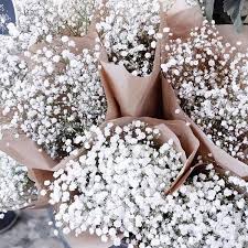 Keelokan keduanya sangat dominan menandakan simbol tersebut. Jual Buket Bunga Baby Breath Asli Gysophila Di Lapak Leora Shop Bukalapak