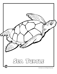 Turtles are small reptiles that spend most of their lives under water. Coloring Page Turtle Coloring Home