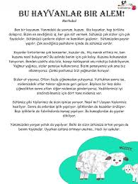 Untitled Bilgilendirici Metinler Faaliyetler Dramalar
