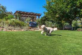 Envirofill has been in production since 2005 and has proven to have a very stable coating. Benefits Of Artificial Turf For Dogs Artificial Grass And Pets