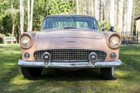 Image result for Buckskin Tan 1956 Thunderbird