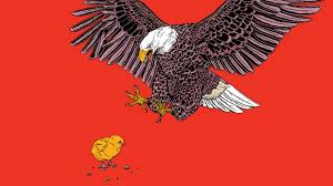 Find out the latest on your favorite nfl teams on cbssports.com. When The National Bird Is A Burden The New York Times