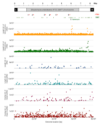 We did not find results for: Antibiotics Free Full Text Interplay Between Non Coding Rna Transcription Stringent Relaxed Phenotype And Antibiotic Production In Streptomyces Ambofaciens Html