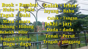 Itulah beberapa contoh pantun kiasan dan artinya. Belajar Bahasa Lampung Artinya Dengan Mengenal Pantun Lampung Youtube