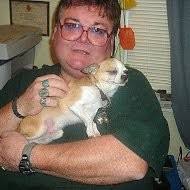 10+ "Curtis Ivy" profiles