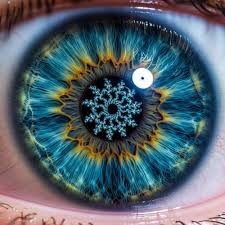 Image result for artistic divergence eyeballs