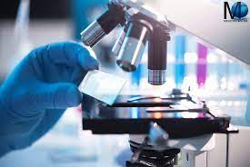 Con un microscopio a contrasto di fase, le differenze tra le varie celle con indici o spessori di rifrazione diversi possono essere osservate in il potere risolutivo dei microscopi elettronici è 200 volte maggiore rispetto a quello dei microscopi ottici. Differenza Tra Microscopio Ottico Ed Elettronico Medicina Online