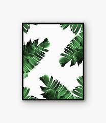 This beautiful 2 toned green botanical, is an alocasia jennings, which is an exotic and tropical plant. Tropical Print Printable Palm Leaf Poster Tropical Art Leaf Wall Art Palm Leaf Decor Tropical Art