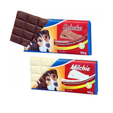 Friandise Au Chocolat Pour Chien Offrez Lui Son Petit Carre De Choco Pour Le Recompenser