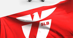 Benfica Rebrand Concept On Behance Rebranding Brand Studio Concept