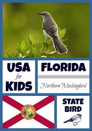 3 of the 1927 legislative session designated the mockingbird as the state bird. State Bird Coloring Pages By Usa Facts For Kids Bird Coloring Pages Facts For Kids Coloring Pages
