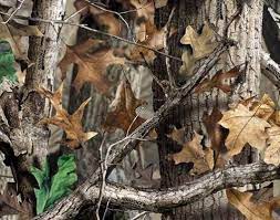 If you're looking for the best camo background then wallpapertag is the place to be. 250 Camo Wallpaper Ideas Camo Wallpaper Camo Wallpaper