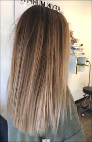 49 schone hellbraune haarfarbe pro zusammenfuhren neuen look die beste haarfarbe beste die einen fur hellbraune haarfarbe haarfarben ombre haare farben