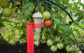 Check spelling or type a new query. Iriso Des Produits Innovant Francais Arrosage Goutte A Goutte Pluviometre