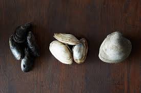 We did not find results for: How To Clean And Cook Shellfish