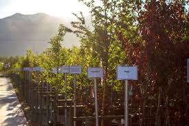 It's cheaper then sun river garden, lowe's, home depot. Turn Your Thumbs Green With These Local Garden Centers My Local Utah