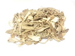 Image result for Tabernaemontana pachysiphon