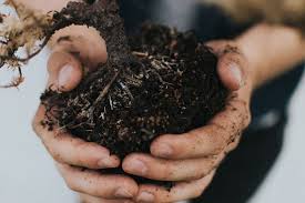 Check spelling or type a new query. Composting How To Make Compost Using Tumblers Bins Eartheasy Guides Articles Eartheasy Guides Articles