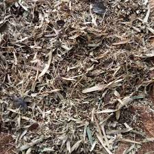 Jangan bakar daun kering, lebih baik diolah menjadi kompos. Jual Pupuk Organik Kemasan Daun Bambu Alus Media Tanam Organik Daun Bambu Kering Media Tanam Kompos Daun Bambu 500 Gr Terbaru Juli 2021 Blibli