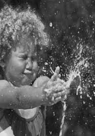 Webster delays election and town meeting; emergency orders multiply