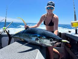 We have just landed some fresh bait in today! Perfect for the weather  forecast and short week ahead 🌞 We have fresh pilchards, piper and finger  mullet in store while stocks last.