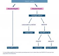 Frottis (!) obtenir le lien. Frottis Test Hpv Depistage Organise Du Cancer Du Col Uterin Biopath Oi
