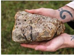 Ambergris — muntah ikan paus yang digunakan dalam minyak wangi. 5 Fakta Unik Ambergris Muntahan Paus Yang Jadi Bahan Parfum Premium Hot Liputan6 Com