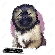 Dog Breeds With Black And Brown Fur Caucasian Shepherd Dog Breed Portrait Of Sitting Canine Mammal With Black And Brown Fur Ru Caucasian Shepherd Dog Shepherd Dog Breeds Digital Art Illustration