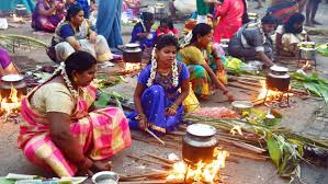 Faiths, fairs & festivals of india. Pongal 2021 Know The Date Auspicious Time And How To Celebrate This Harvest Festival Oneindia News