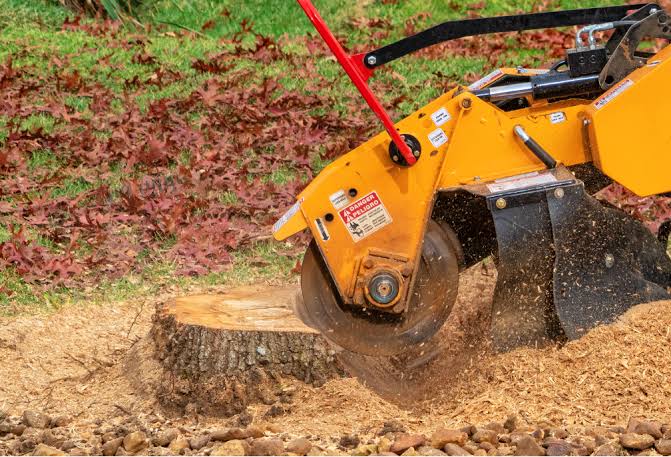 Stump Grinding and Removal | Tree Service | Brown Tree Service