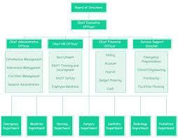 hospital org chart examples org charting organizational