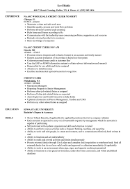 credit clerk resume samples velvet jobs