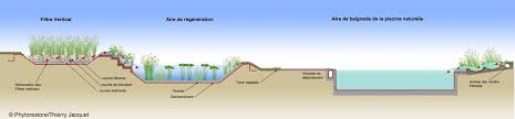 References Piscine Naturelle D Homa Guillin Phytorestore