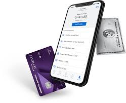At the very first step, you are. Download Amex Mobile App American Express