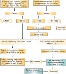 Cyclosporin In Idiopathic Glomerular Disease Associated With The Nephrotic Syndrome Workshop Recommendations Sciencedirect