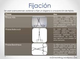 Tiempos Quirurgicos Y Algunos Instrumentos Tiempos Quirurgicos Instrumentos Quirurgicos Instrumentacion Quirurgica