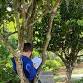 Nests, Eggs, Birds — Treehouse Montessori event image