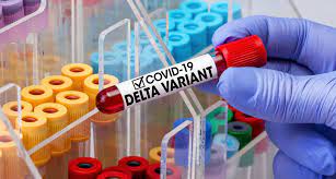 La variante delta del coronavirus, que podría ser más transmisible y grave, se expande ya por europa. Ecdc Rechnet Mit Starker Ausbreitung Der Delta Variante In Europa