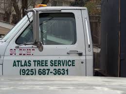 Give atlas tree care service a call. Atlas Tree Service 150 Medburn St Concord Ca Tree Trimming Mapquest