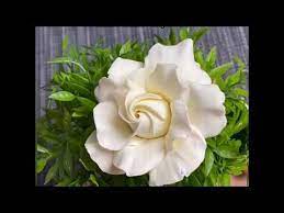 Diy Clay Flowers Tutorial Gardenia Flowers Air Dry Clay Cold Porcelain Sugarcraft Youtube Clay Flowers Polymer Clay Flowers Polymer Clay Ornaments